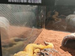 -太平洋海底世界