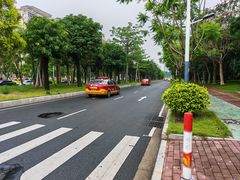 -王借岗森林公园