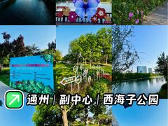 -西海子公园