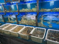 水产区-桔子海鲜烧烤大排档(金沙滩店)