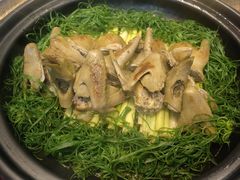 -溪畔•新徽菜(碧湖云溪店)