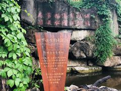 -西安国际创新人才交流中心•药浴温泉