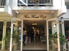 -Fern Forest Cafe