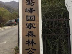 -北京鹫峰国家森林公园