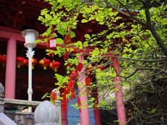 -飞霞风景名胜区