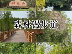 -神光山国家森林公园