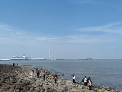 -上海吴淞炮台湾国家湿地公园