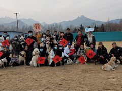 -趣玩宠物乐园寄养训犬训狗游泳池