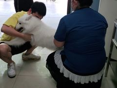 -申普宠物医院·眼科·心内科·影像科(普陀分院)