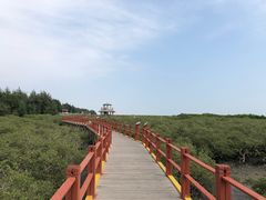 -北海金海湾红树林生态旅游区