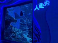 -海合安成都极地海洋公园