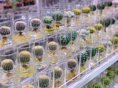 -KKV(深圳宏发大仟里店)