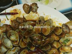 花蚬子-小海丁