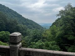 -韬光茶庵