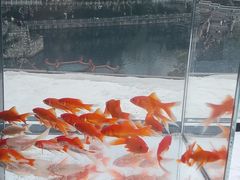 -包整·丝娃娃(一览甲秀楼风景店)