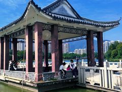 -飞来湖湿地公园