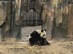 -大连森林动物园