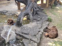 -南宁市动物园
