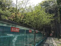 -天怡·鱼工厂(梅溪湖店)