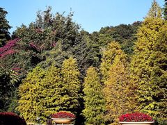 -云溪植物园
