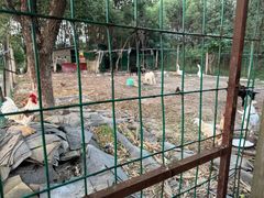 -呼吸森林·生态农庄农家乐私房菜