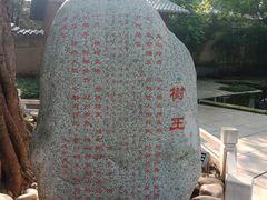 -鹅岭公园瞰胜楼