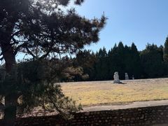-清东陵
