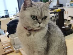 -Oasis绿洲银饰珍珠手作diy(壹方城店)