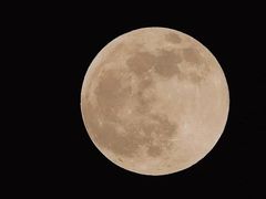 -黄记煌三汁焖锅(广州曜一城店)