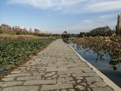 -前关湿地公园