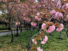 -上海市龙华烈士陵园