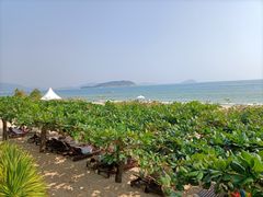 -三亚亚龙湾天域度假酒店