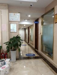 -碧莲盛·不剃发植发