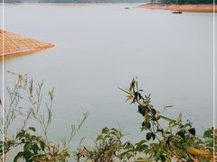 -广州市流溪河国家森林公园