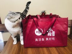 -鱼酷活鱼烤鱼(中联广场店)