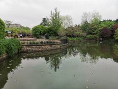 -嘉定紫藤园