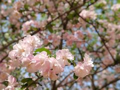 -洛阳市隋唐城遗址植物园
