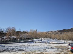 -北京西山国家森林公园