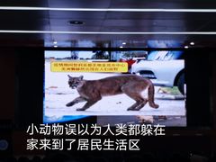 -中国地质大学图书馆