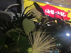 -海银海记潮汕牛肉火锅(新港中路海珠店)