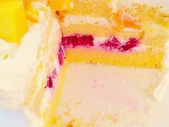 -维尔纳斯·生日蛋糕·动物奶油冰淇淋蛋糕(六里桥店)