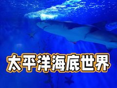 -太平洋海底世界