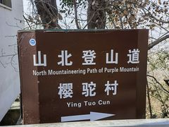 -紫金山山顶公园