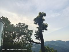 -城外有星光桥舍(南山店)