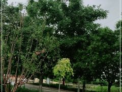 -山西乌金山旅游区