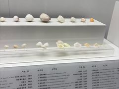 -贝壳王国博物馆