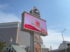 -澳门威尼斯人综合度假区