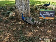 -昆明动物园