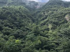 -四明山国家森林公园