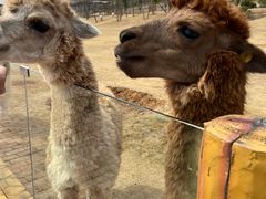 -南京金牛湖风景区